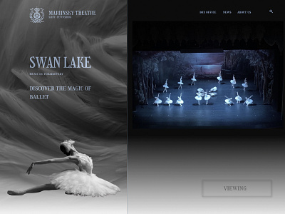 Swan lake ballet ballet banner design mariinsky theatre saint petersburg shot swan lake tchaikovsky web webdesign