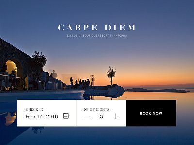 Carpe Diem Website