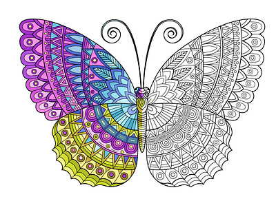 Bright butterfly. Coloring for adult adult coloring coloring book coloring page design illustration vector