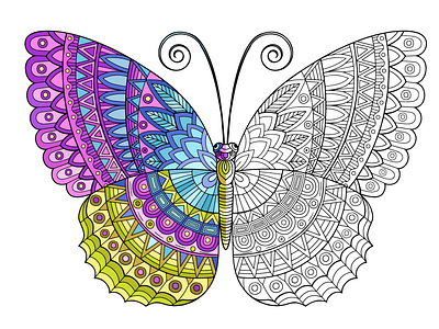 Bright butterfly. Coloring for adult