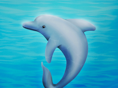 D olphin dolphin