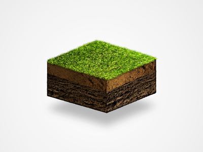 3D grass earth grass green infographiv