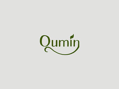 Qumin eco flat icon logo minimal qumin spice type