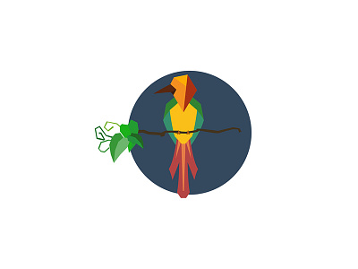 Tropical Bird bird color colour flatdesign forest jungle leaves tropical wing