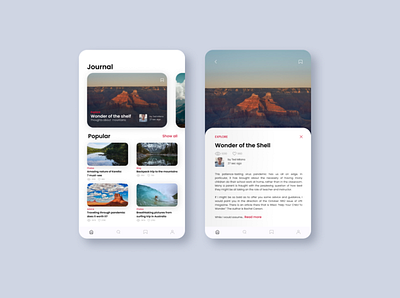 Journal for Travelers app design design design app interface design mobile ui traveling