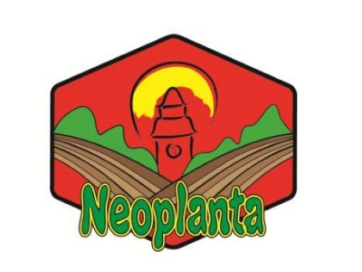 Neoplanta branding graphic design logo