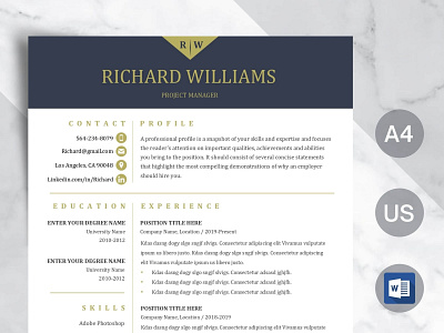 Professional Resume Template