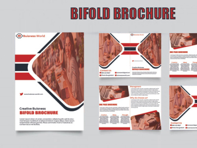 Bifold Brochure