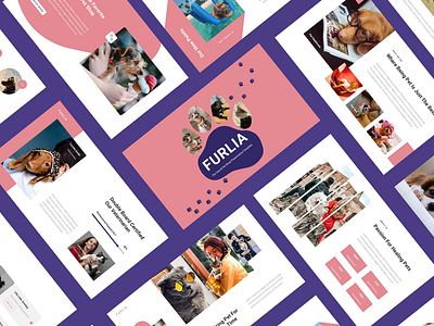 Furlia – Pet Care & Pet Shop PowerPoint Template