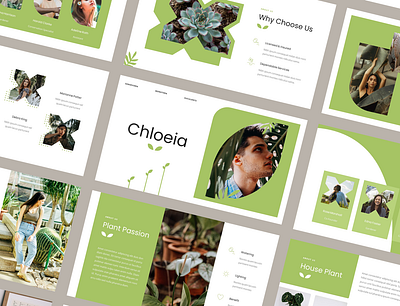 Chloeia – Botanic & Garden PowerPoint Template botanical garden green houseplant leaf monstera nature plant pot tree