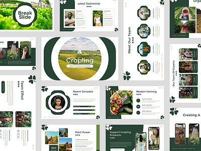 Cropling - Organic Farm & Agriculture Google Slides Template agricultural agriculture business countryside crop cultivated cultivation equipment farm farmer farming farmland