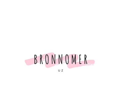 Logo Bronnomer.uz logo