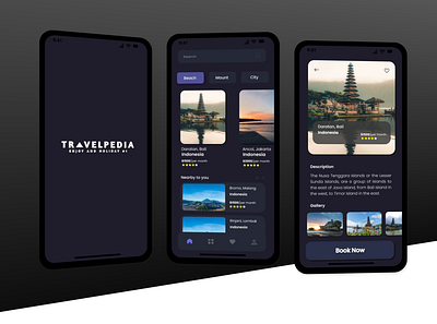 Travel Mobile UI Kit animation app branding design frontend mobiledesign onlineshop travelapp ui uidesign