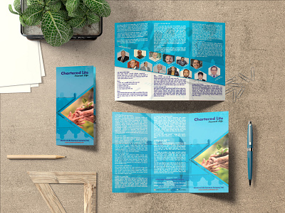 Brochure Design for Charteredlife ltd. banner branding brochure design flyer graphic design illustration