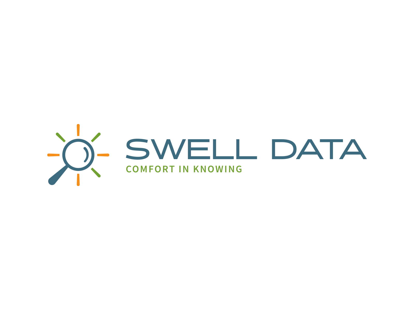 Swell Data Logo brand system branding data gif iterations logo logo design logotype retro
