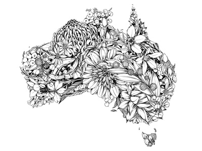 Australia Native australia botanical botanical illustration drawing floral illustration nature pattern surface design