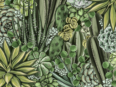 Succulent Illustration botanical color palette digital art floral illustration line art nature packaging pattern print print design procreate surface design surface pattern