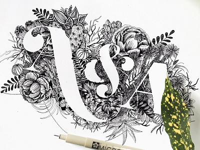 Desert Plant Monogram botanical digital illustration floral flowers graphic design illustration lettering pattern script typography