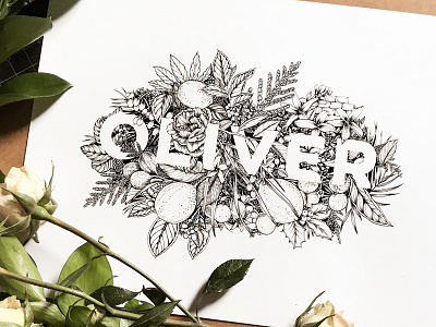 Oliver - ink illustration botanical digital illustration illustration monogram pattern surface design