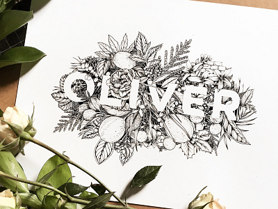 Oliver - ink illustration