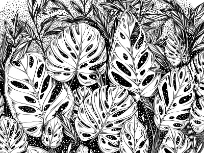 Tropical Line Illustration botanical botanical illustration branding drawing illustration lettering packaging pattern tropical tropical leaves typography