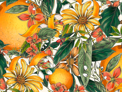 Orange Twist Illustrated pattern botanical botanical illustration design drawing flowers illustration nature packaging pattern typography