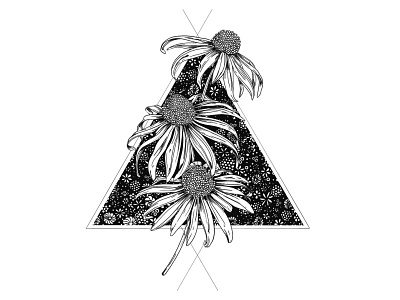 Geometric / Floral black and white botanical botanical illustration drawing floral flowers illustration nature pattern surface design