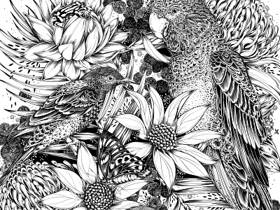 Detail: Australian Bushfire Fundraiser australia bird black and white botanical botanical illustration drawing illustration packaging pattern surface design