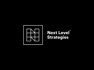 Next Level Strategies brand branding design hr identity logo strategy type typography