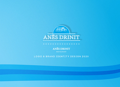 Anes Drinit Logo animation app branding design graphic design illustration illustrator logo typography vector