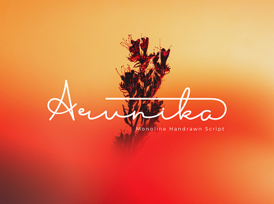 Arunika - Monoline Script Font creative market feminime font awesome font design hand drawn lovely monoline script signature