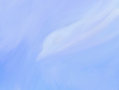 A bird in the clouds bird clouds digital painting illustration paint procreate