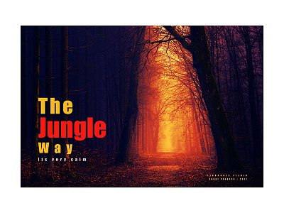 The Jungle Way exposure jungle layout typo typography way words