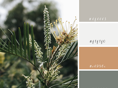 Rustic Winter Colour Palettes