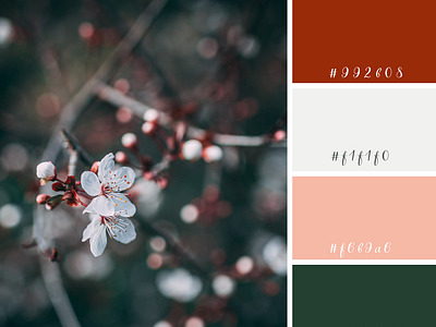 Rustic Winter Colour Palettes By Nikki Mccaig On Dribbble