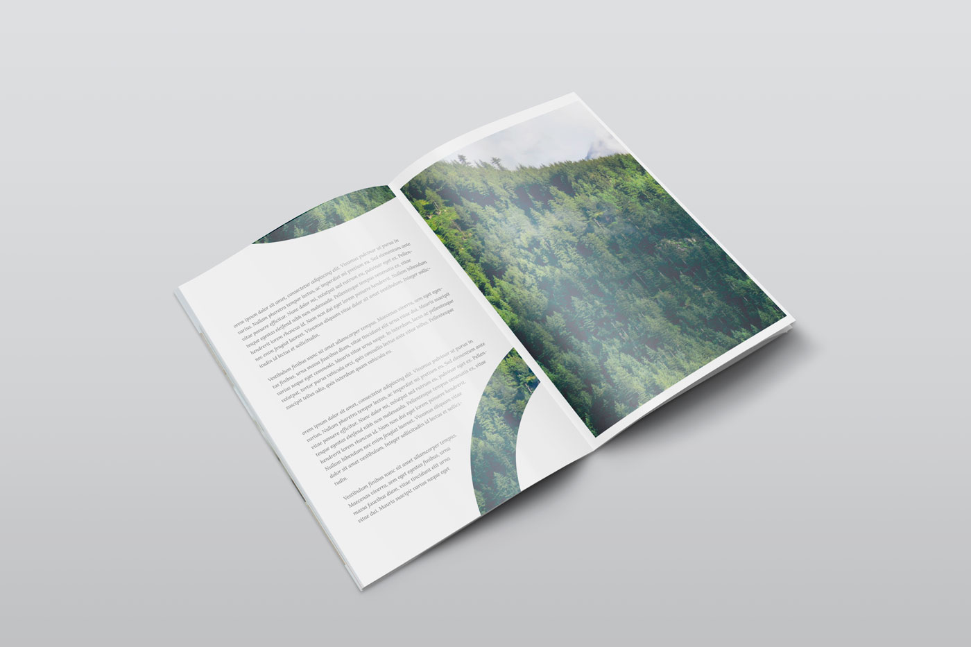 Download Free Isometric A4 Psd Magazine Mockup By Mats Peter Forss On Dribbble PSD Mockup Templates