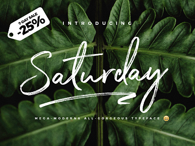 [7-Day Flash Sale] The Saturday Font