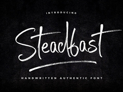 [25% Quick-Sale] Steadfast Script Font craft creative font fonts hand handwriting handwritten inspiration logo original typeface