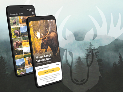 Nature app design mobile mobile app mobile ui uxdesign uxui