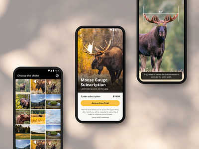 Nature app design mobile app mobile ui ui design uxdesign