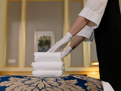 Cleaning Business Franchise - Tina Maids Franchise LLC