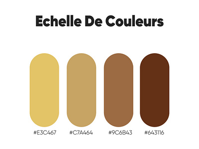 Echelle De Couleurs