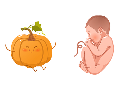 Miracle of life. 9th month baby embryo fertility people pregnancy pumpkin vector vector art
