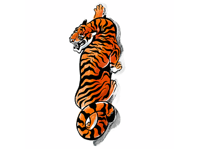 Happy Tiger Year soon animal illustration procreate tiger