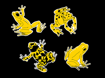 Poison frogs animal frogs illustration pattern poison frogs vector art yellow