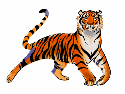 Happy Tiger 2022 Year! animal chinese new year illustration new year 2022 procreate tiger tiger year