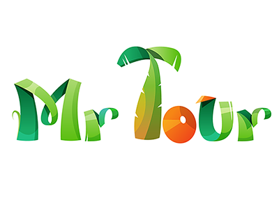 Mr Tour logotype logotype palm tourism