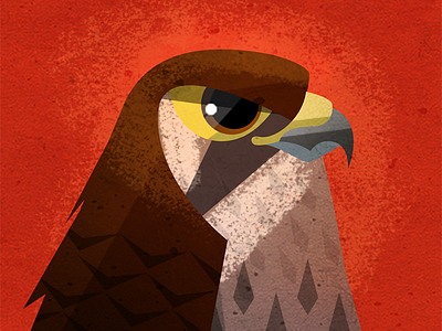 Falcon for avatar avatar bird falcon