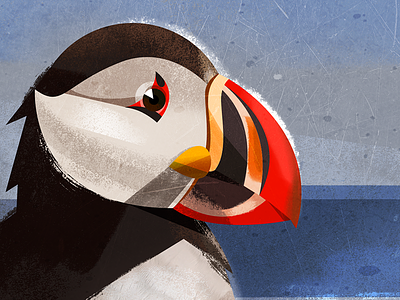 Birdie for avatar arctic bird birdie mascot north bird puffin