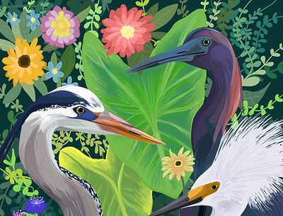Water Bird Mural Concept design illustration